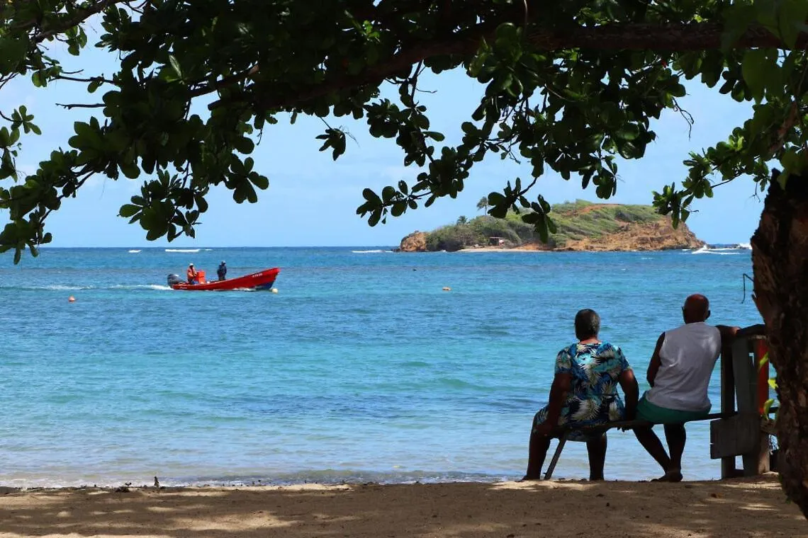 Retraite Tropicale En Bord De Mer La Trinite Martinique